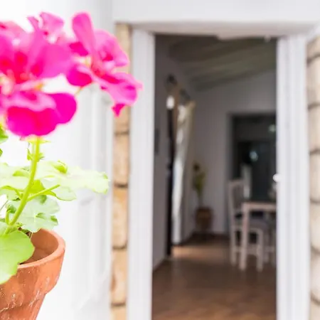 Casa Bodega Triana Apartment Vejer de la Frontera