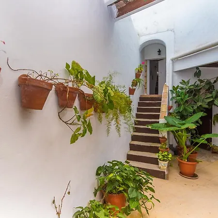 Casa Bodega Triana Apartment