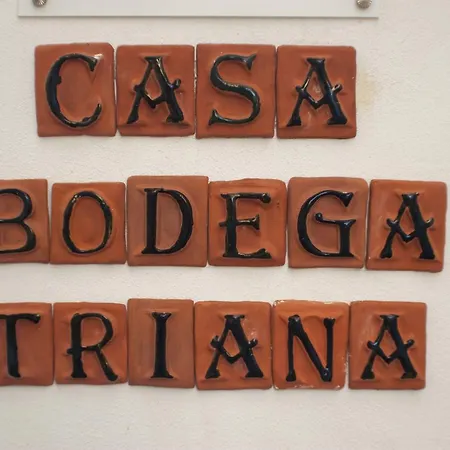 Casa Bodega Triana Apartment Vejer de la Frontera