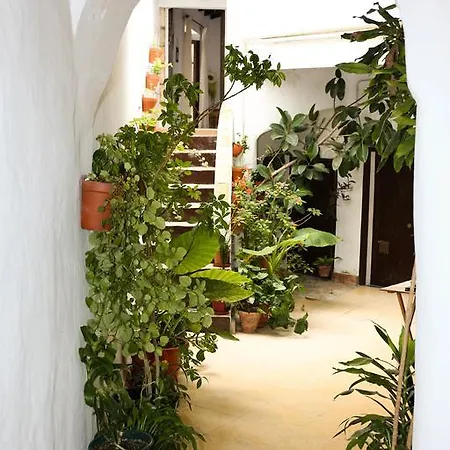 Casa Bodega Triana Appartement